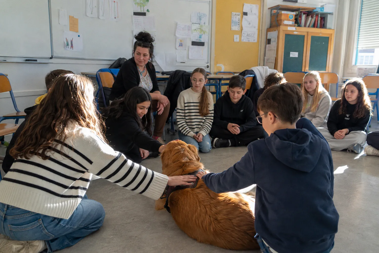 Médiation animale en milieu scolaire : entre promesses de bien-être et réalité thérapeutique
